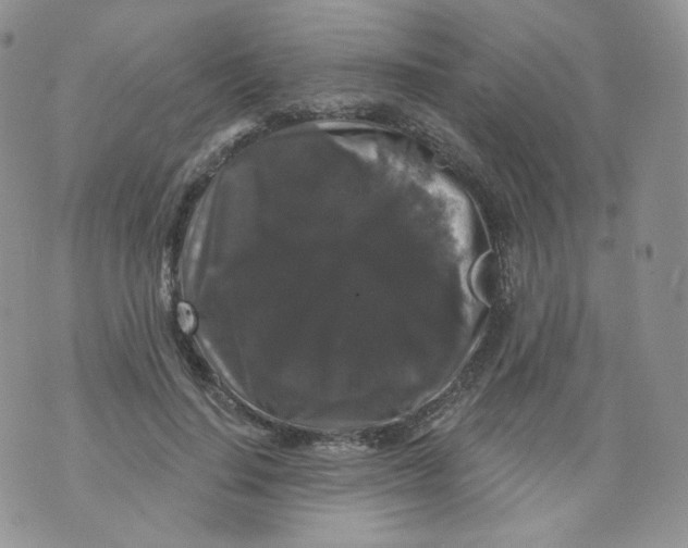 X0000070860644200607071858