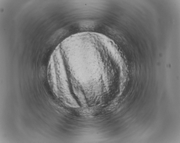 X0000070860649200607071859