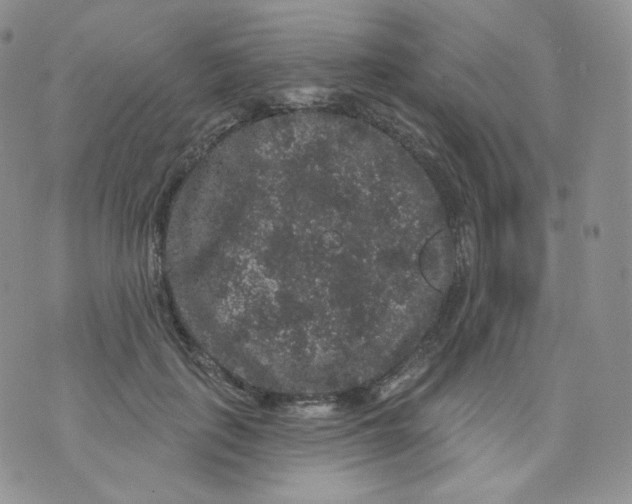 X0000070860651200607071859