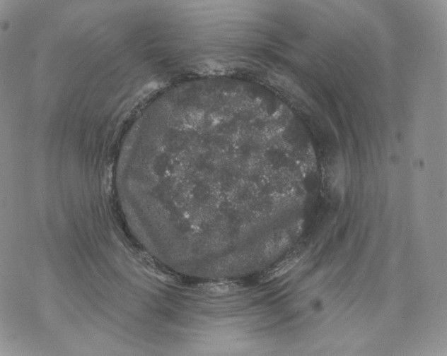 X0000070860652200607071859