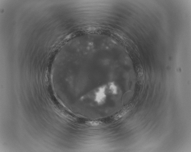 X0000070860654200607071859