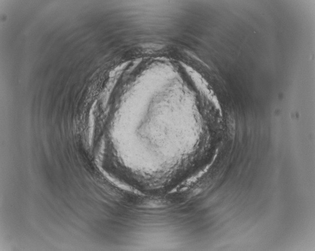 X0000070860657200607071859