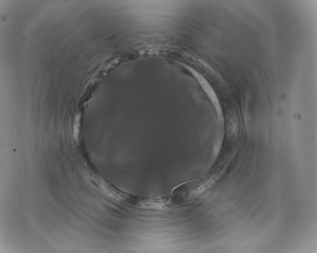 X0000070860661200607071859