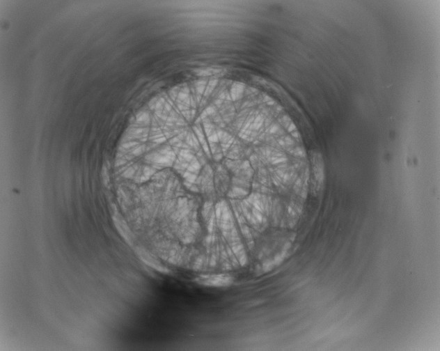 X0000070860667200607071859