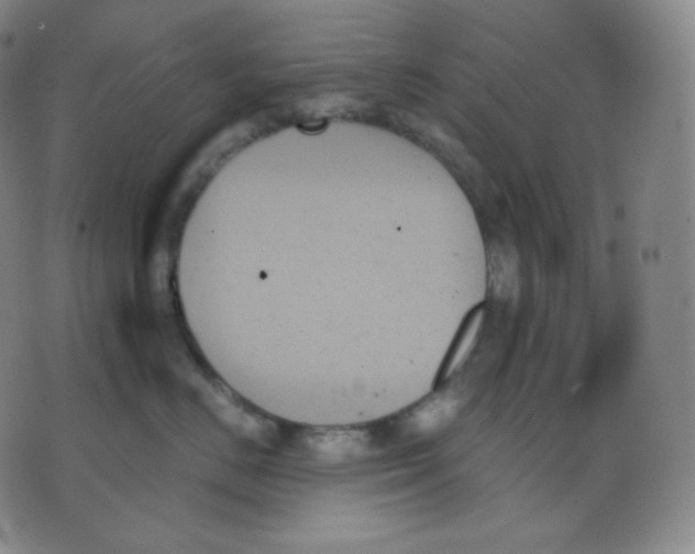 X0000070860670200607071859