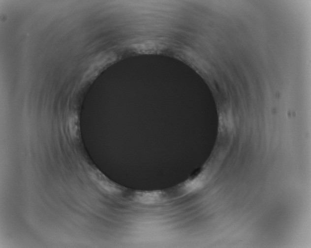 X0000070860671200607071859