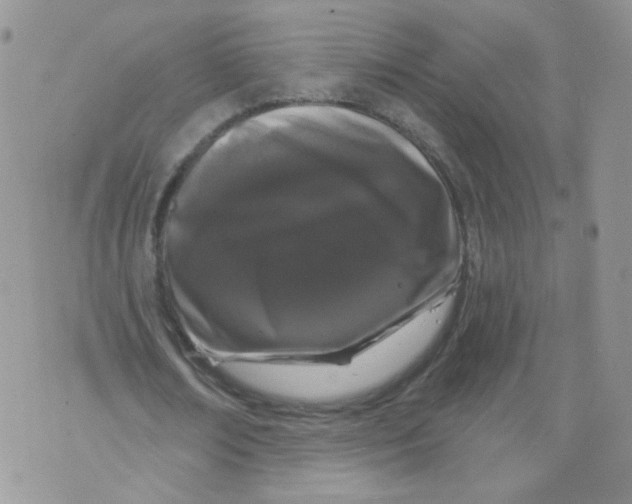 X0000070860674200607071858