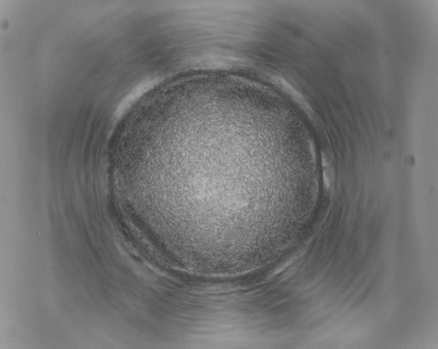 X0000070860675200607071858