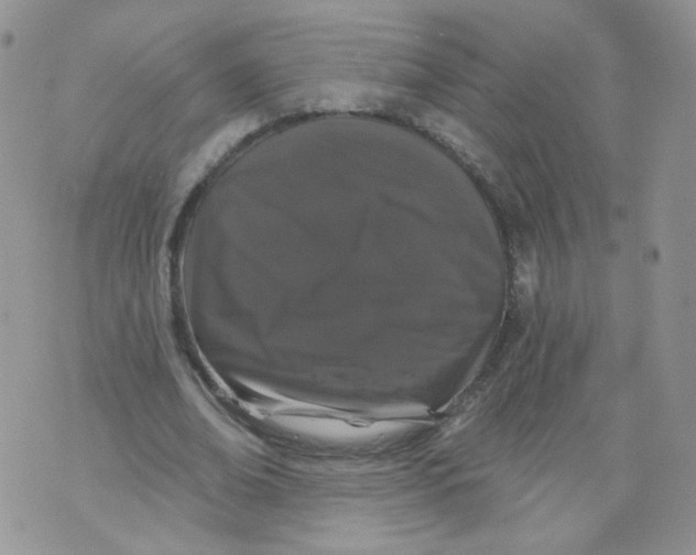 X0000070860678200607071858