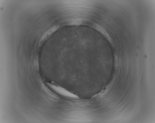 X0000070860681200607071858