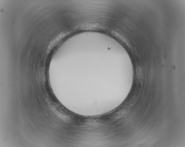 X0000070860682200607071858