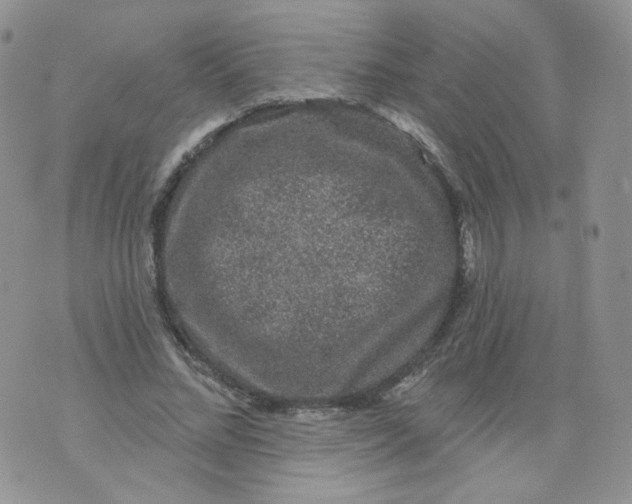 X0000070860684200607071858