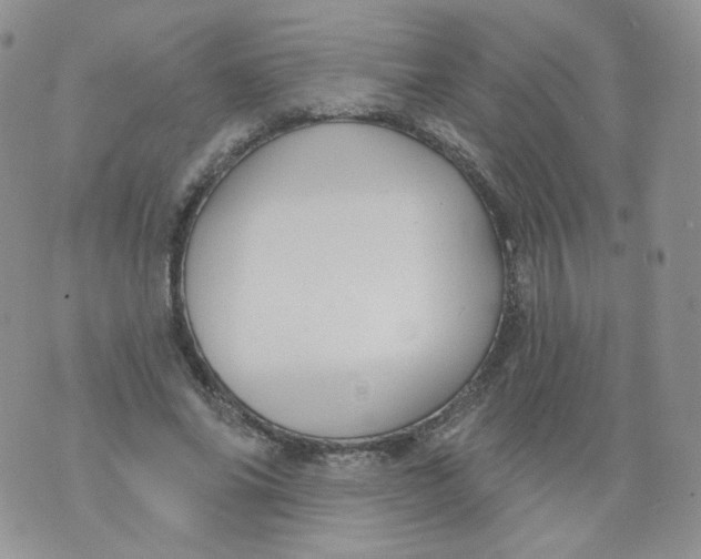 X0000070860686200607071858