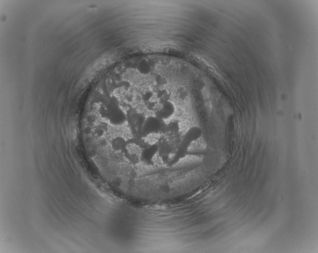 X0000070860687200607071858