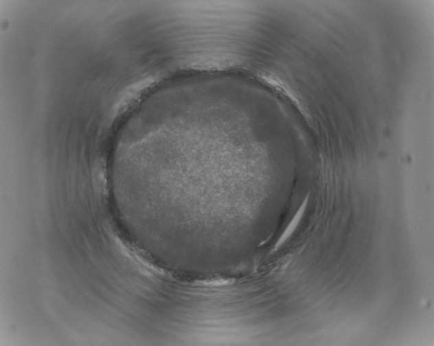 X0000070860688200607071858