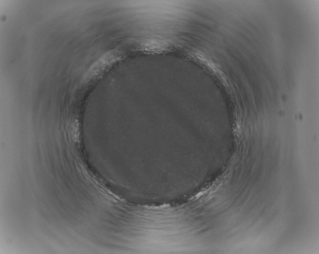 X0000070860689200607071858