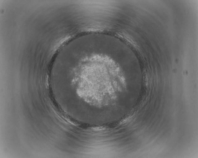 X0000070860692200607071858