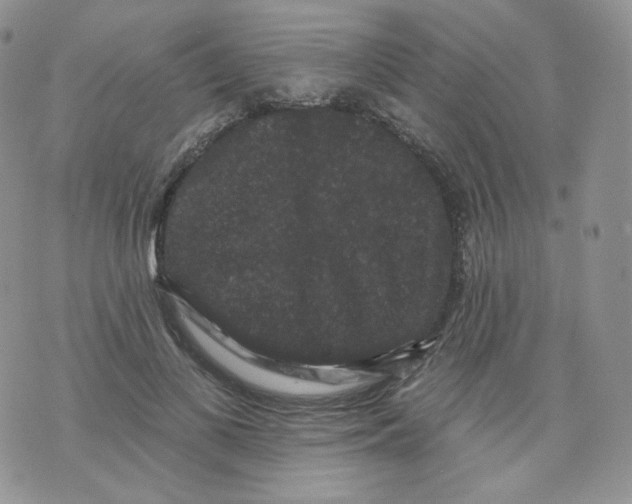 X0000070860693200607071858