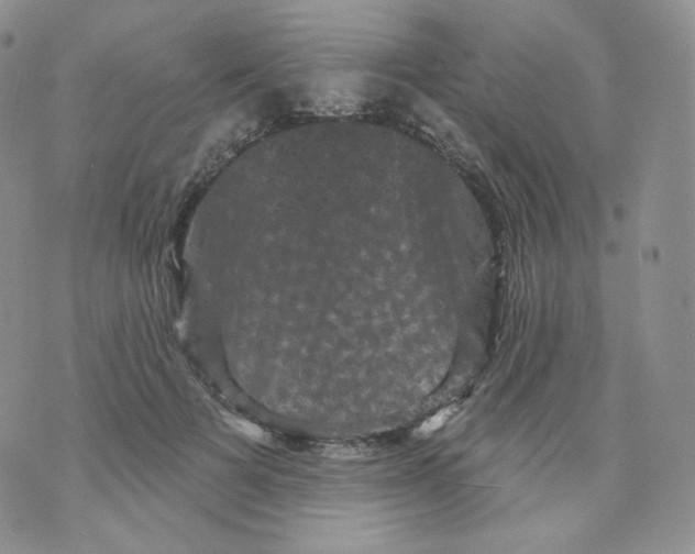 X0000070860697200607071858