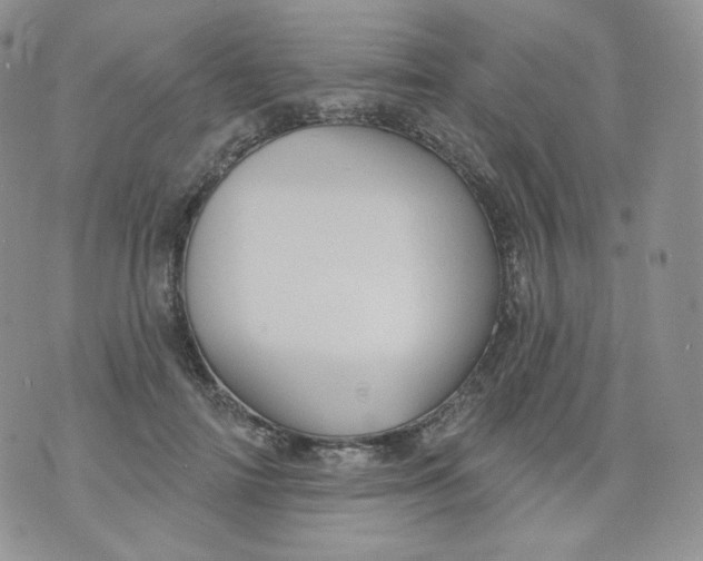 X0000070860698200607071858