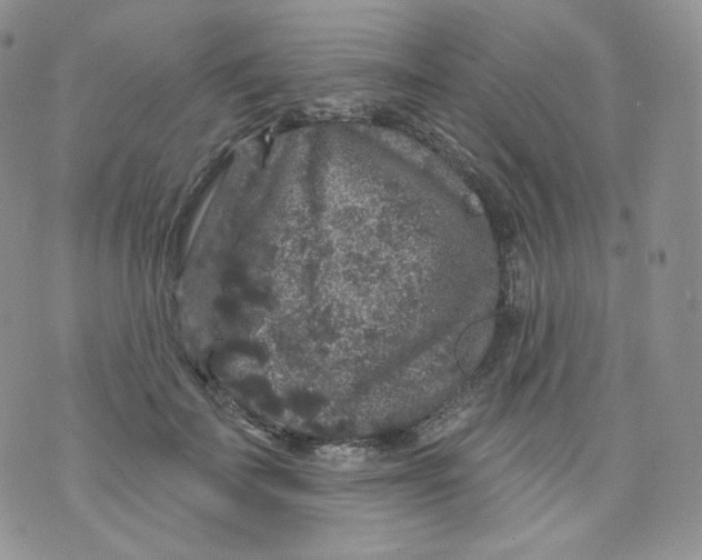 X0000070860699200607071858