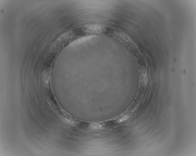 X0000070860701200607071858