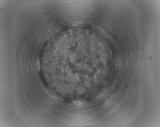 X0000070860703200607071858