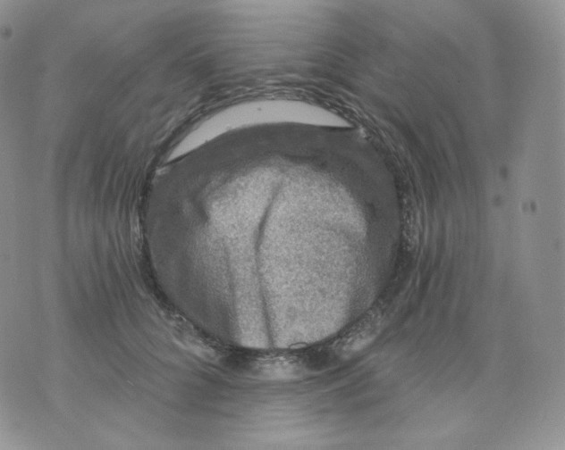 X0000070860704200607071858