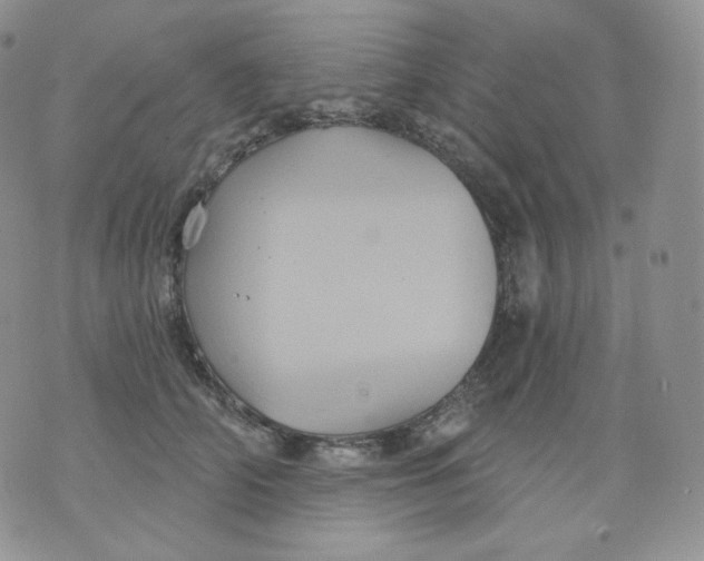 X0000070860706200607071858