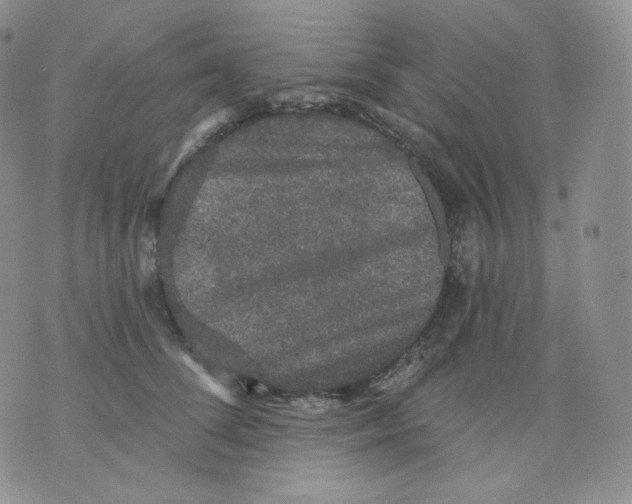 X0000070860708200607071858