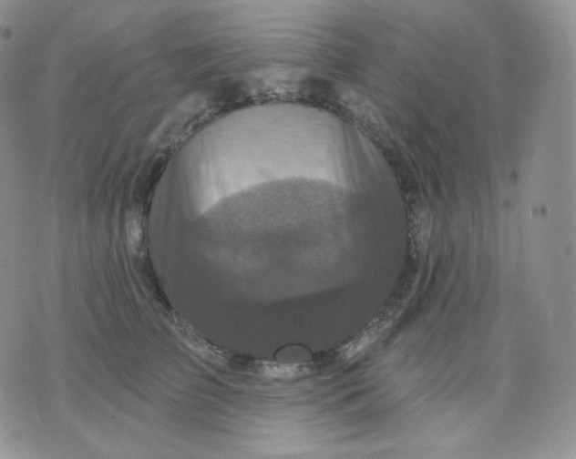 X0000070860709200607071858