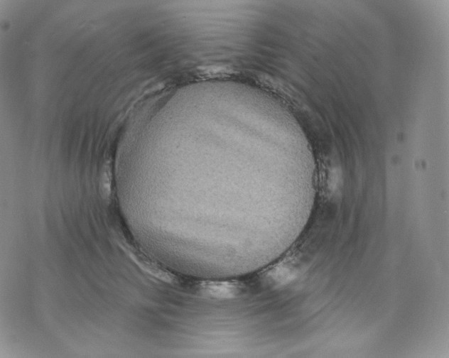 X0000070860710200607071858