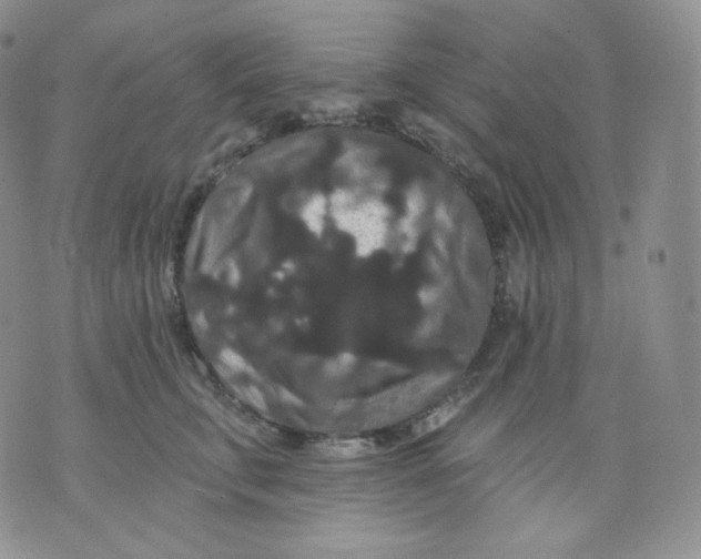 X0000070860711200607071858