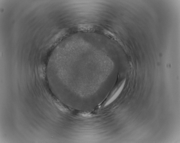 X0000070860712200607071858