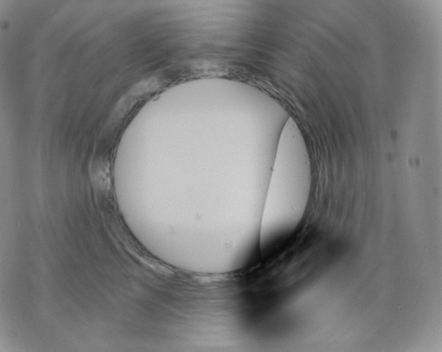 X0000070860713200607071857