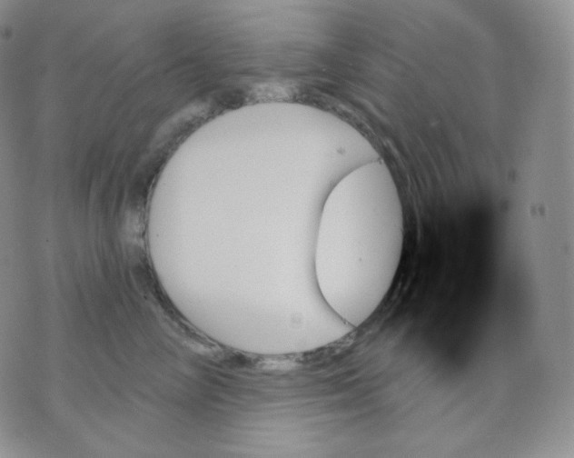 X0000070860714200607071857