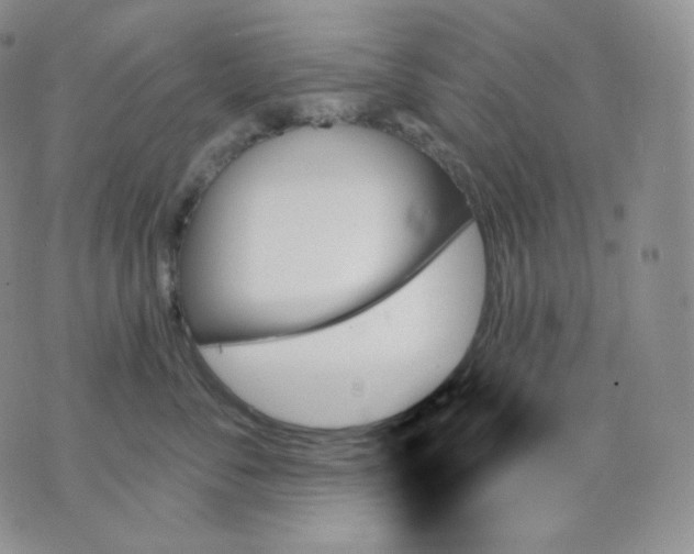 X0000070860716200607071857