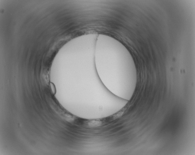 X0000070860718200607071857