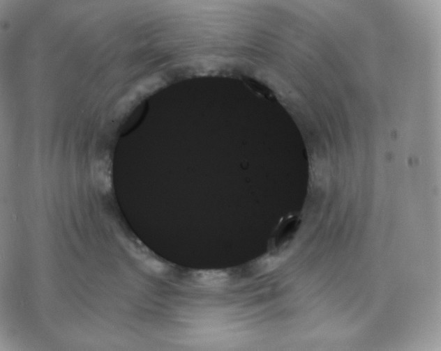 X0000070860719200607071857