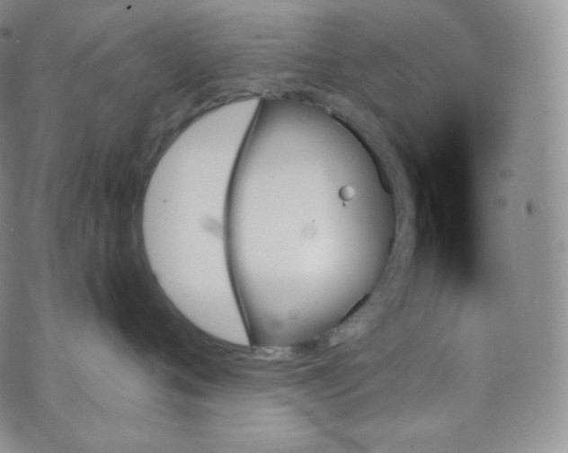 X0000070860720200607071857