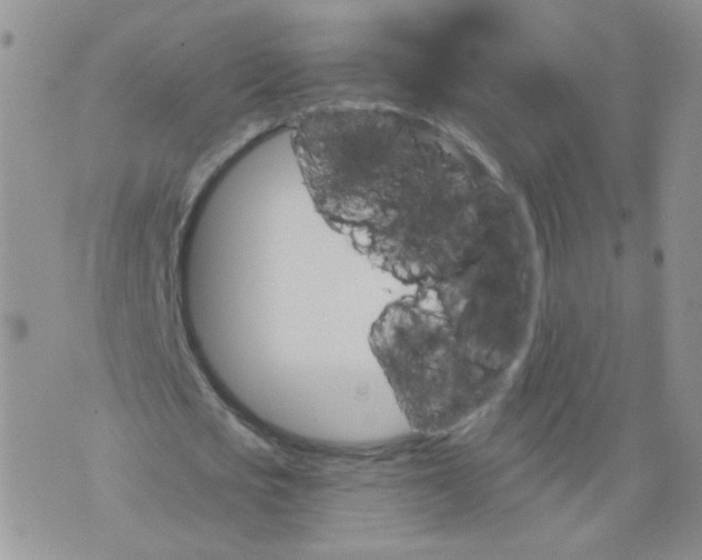 X0000070860721200607071857