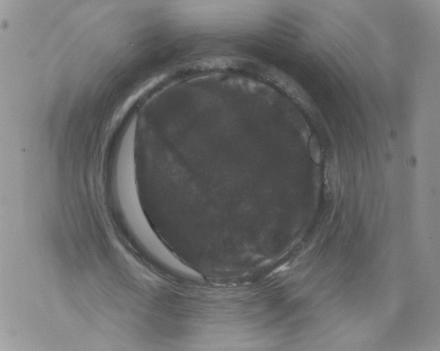 X0000070860722200607071857