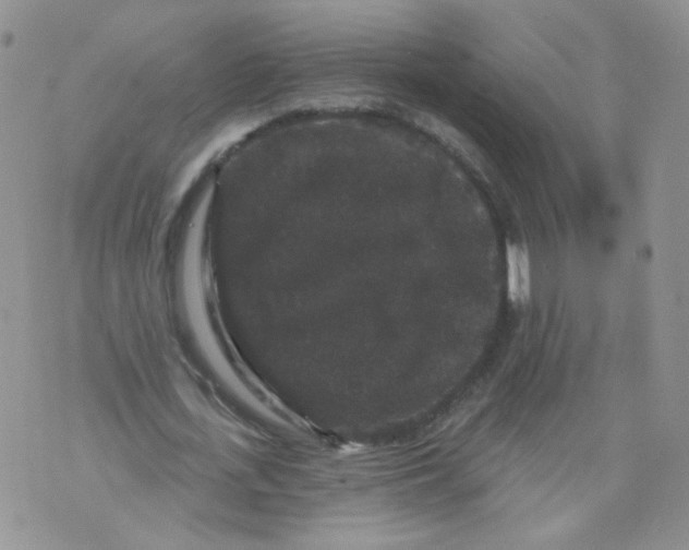 X0000070860723200607071857