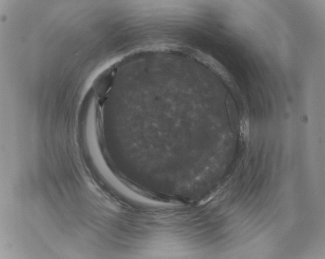 X0000070860724200607071857