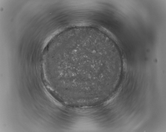 X0000070860725200607071857