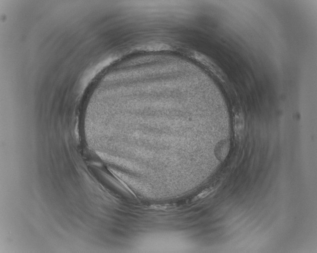 X0000070860727200607071857