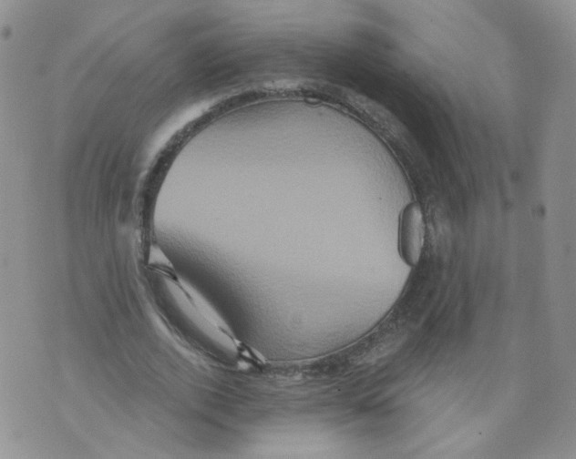 X0000070860728200607071857