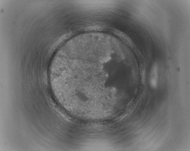 X0000070860729200607071857