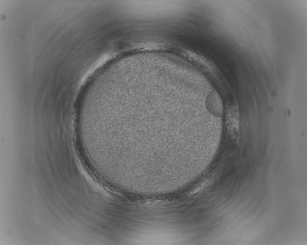 X0000070860730200607071857