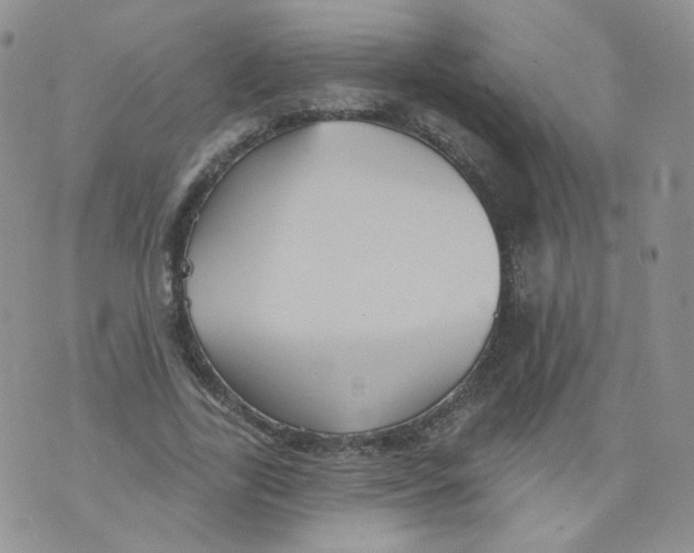 X0000070860731200607071857